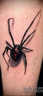 фото тату черная вдова (Tattoo) (значение) — пример рисунка — 006 tatufoto.com