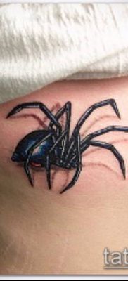 фото тату черная вдова (Tattoo) (значение) — пример рисунка — 007 tatufoto.com