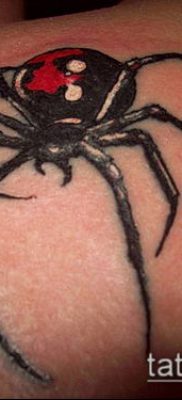 фото тату черная вдова (Tattoo) (значение) — пример рисунка — 012 tatufoto.com