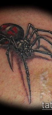 фото тату черная вдова (Tattoo) (значение) — пример рисунка — 013 tatufoto.com