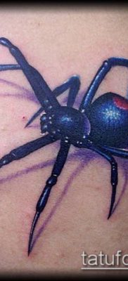 фото тату черная вдова (Tattoo) (значение) — пример рисунка — 020 tatufoto.com