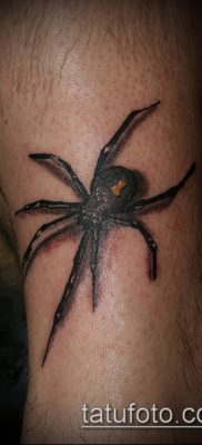 фото тату черная вдова (Tattoo) (значение) — пример рисунка — 021 tatufoto.com