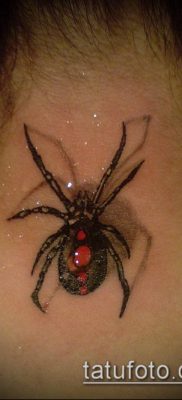 фото тату черная вдова (Tattoo) (значение) — пример рисунка — 022 tatufoto.com