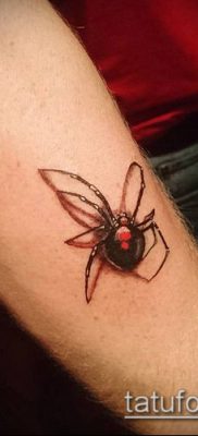 фото тату черная вдова (Tattoo) (значение) — пример рисунка — 029 tatufoto.com