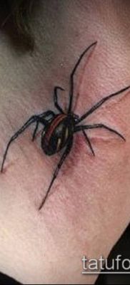 фото тату черная вдова (Tattoo) (значение) — пример рисунка — 032 tatufoto.com