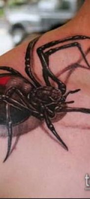 фото тату черная вдова (Tattoo) (значение) — пример рисунка — 033 tatufoto.com