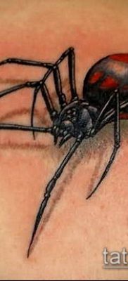 фото тату черная вдова (Tattoo) (значение) — пример рисунка — 034 tatufoto.com