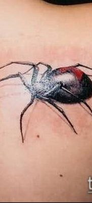 фото тату черная вдова (Tattoo) (значение) — пример рисунка — 035 tatufoto.com