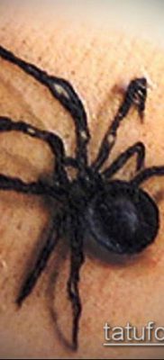 фото тату черная вдова (Tattoo) (значение) — пример рисунка — 042 tatufoto.com