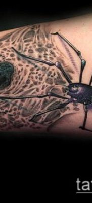 фото тату черная вдова (Tattoo) (значение) — пример рисунка — 045 tatufoto.com