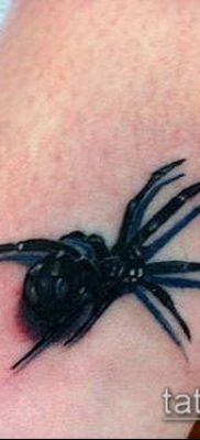 фото тату черная вдова (Tattoo) (значение) — пример рисунка — 049 tatufoto.com