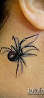 фото тату черная вдова (Tattoo) (значение) — пример рисунка — 059 tatufoto.com