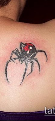 фото тату черная вдова (Tattoo) (значение) — пример рисунка — 062 tatufoto.com