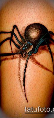 фото тату черная вдова (Tattoo) (значение) — пример рисунка — 066 tatufoto.com