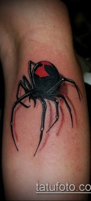 фото тату черная вдова (Tattoo) (значение) — пример рисунка — 073 tatufoto.com