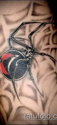 фото тату черная вдова (Tattoo) (значение) — пример рисунка — 074 tatufoto.com