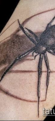 фото тату черная вдова (Tattoo) (значение) — пример рисунка — 076 tatufoto.com