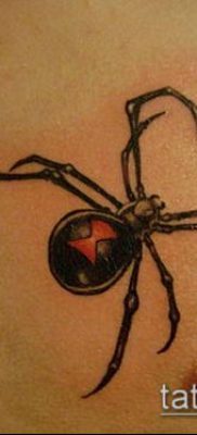 фото тату черная вдова (Tattoo) (значение) — пример рисунка — 081 tatufoto.com
