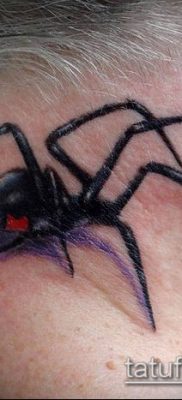 фото тату черная вдова (Tattoo) (значение) — пример рисунка — 087 tatufoto.com