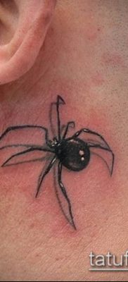 фото тату черная вдова (Tattoo) (значение) — пример рисунка — 088 tatufoto.com