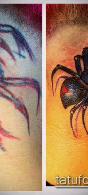 фото тату черная вдова (Tattoo) (значение) — пример рисунка — 093 tatufoto.com