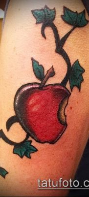фото тату яблоко (apple tattoo) (значение) — пример рисунка — 008 tatufoto.com