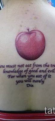 фото тату яблоко (apple tattoo) (значение) — пример рисунка — 022 tatufoto.com