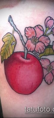 фото тату яблоко (apple tattoo) (значение) — пример рисунка — 038 tatufoto.com