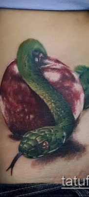 фото тату яблоко (apple tattoo) (значение) — пример рисунка — 059 tatufoto.com