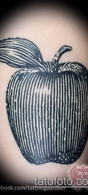 фото тату яблоко (apple tattoo) (значение) — пример рисунка — 066 tatufoto.com