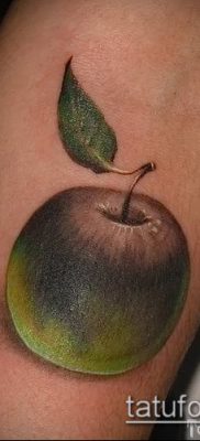 фото тату яблоко (apple tattoo) (значение) — пример рисунка — 077 tatufoto.com