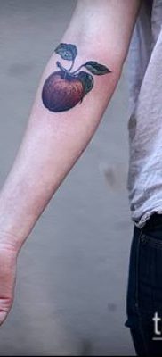 фото тату яблоко (apple tattoo) (значение) — пример рисунка — 088 tatufoto.com