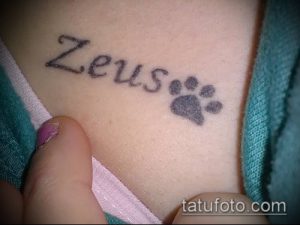Фото тату на шее: надпись 'Zeus' и маленький отпечаток лапы рядом. Простой и милый рисунок татуировки, посвященный домашнему питомцу.