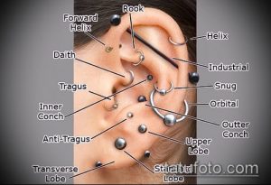 Фото тату: схема пирсинга уха с указанием различных видов пирсинга, Helix, Rook, Daith, Tragus и другие.
