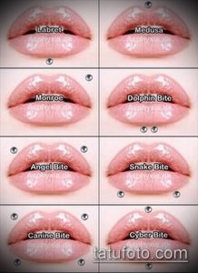 Фотография, демонстрирующая различные виды пирсинга губ: Labret, Medusa, Monroe, Dolphin Bite, Angel Bite, Snake Bite, Canine Bite, Cyber Bite.