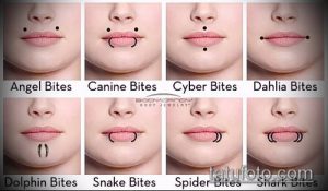 Коллаж из фотографий различных видов пирсинга губ: Angel Bites, Canine Bites, Cyber Bites, Dahlia Bites, Dolphin Bites, Snake Bites, Spider Bites, Shark Bites.
