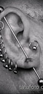 Фото Виды пирсинга (Tattoo Types of pierci) (значение) — пример рисунка — 148 tatufoto.com