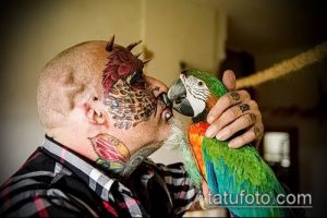 Фото мужчины с татуировкой на лице и попугаем, касающимся его щеки клювом. Яркие цвета, детализированная проработка, необычный образ. Идеи для тату.