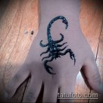 Фото скорпион хной (Tattoo Scorpion henn) (значение) - пример рисунка - 004 tatufoto.com