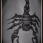 Фото скорпион хной (Tattoo Scorpion henn) (значение) - пример рисунка - 008 tatufoto.com