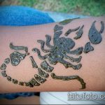 Фото скорпион хной (Tattoo Scorpion henn) (значение) - пример рисунка - 013 tatufoto.com