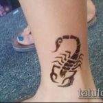 Фото скорпион хной (Tattoo Scorpion henn) (значение) - пример рисунка - 016 tatufoto.com