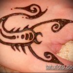 Фото скорпион хной (Tattoo Scorpion henn) (значение) - пример рисунка - 017 tatufoto.com 7254