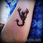 Фото скорпион хной (Tattoo Scorpion henn) (значение) - пример рисунка - 019 tatufoto.com
