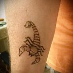 Фото скорпион хной (Tattoo Scorpion henn) (значение) - пример рисунка - 020 tatufoto.com