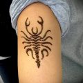 Фото скорпион хной (Tattoo Scorpion henn) (значение) - пример рисунка - 021 tatufoto.com