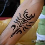 Фото скорпион хной (Tattoo Scorpion henn) (значение) - пример рисунка - 023 tatufoto.com