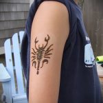 Фото скорпион хной (Tattoo Scorpion henn) (значение) - пример рисунка - 029 tatufoto.com