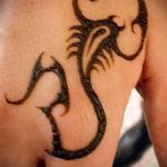 Фото скорпион хной (Tattoo Scorpion henn) (значение) - пример рисунка - 033 tatufoto.com 578й