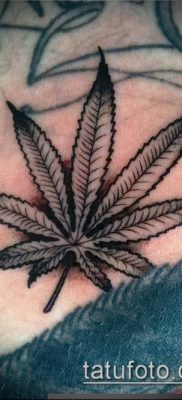 Фото тату марихуанна (Tattoo Marijuana) (значение) — пример рисунка — 058 tatufoto.com